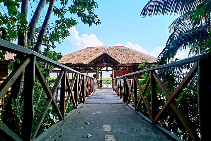 Bintan Mangrove Discovery: Sebung River Wildlife Boat Tour photo 2