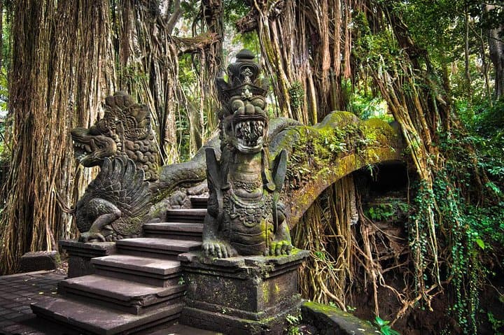 Ubud Private Day Tour: Monkey Forest, Rice Terraces & Sacred Springs photo 4