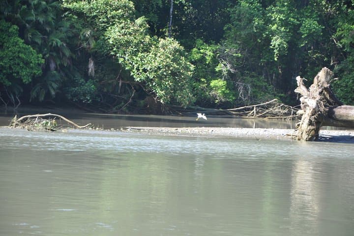 Overnight at Sirena: 2-Day Corcovado National Park Camping Tour photo 4