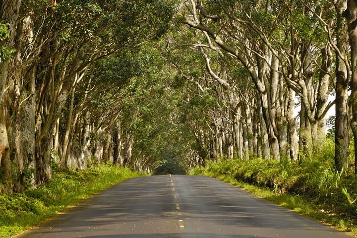 Self-Guided Poipu and Koloa Driving Tour — South Kauai Audio Guide photo 6