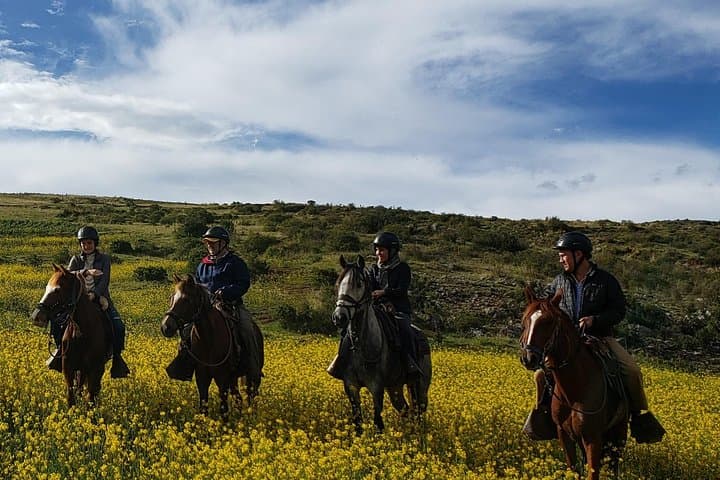 Ride to the Devil's Balcony: Horseback Tour from Cusco photo 6