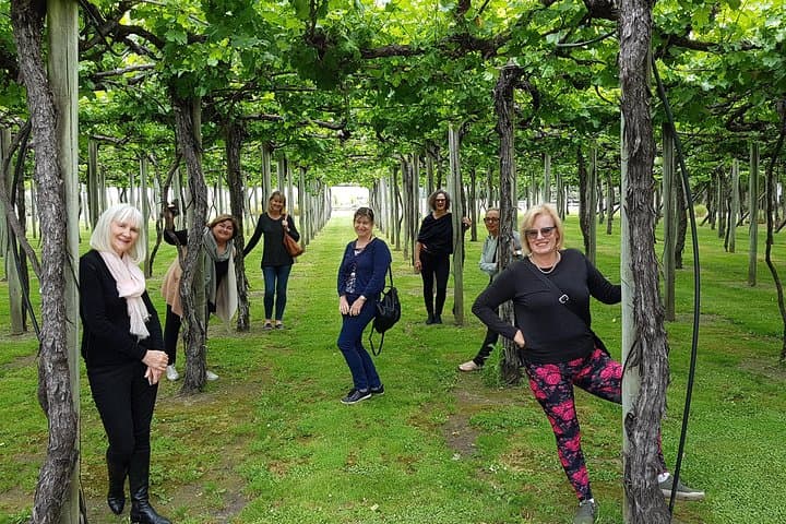 Half-Day Marlborough Wine Tour from Picton — Wineries & Chocolate Tasting photo 6