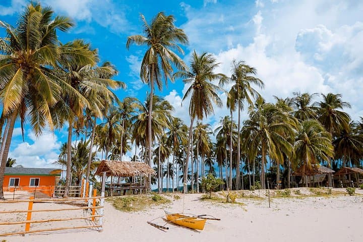 Honda Bay Island-Hopping Day Tour: Luli, Cowrie & Starfish from Puerto Princesa