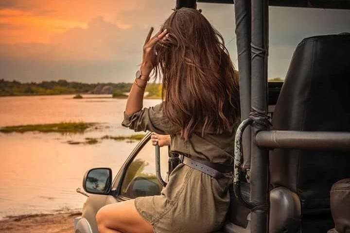 Udawalawe Day Trip from Colombo: Private Transfer and Wildlife Viewing