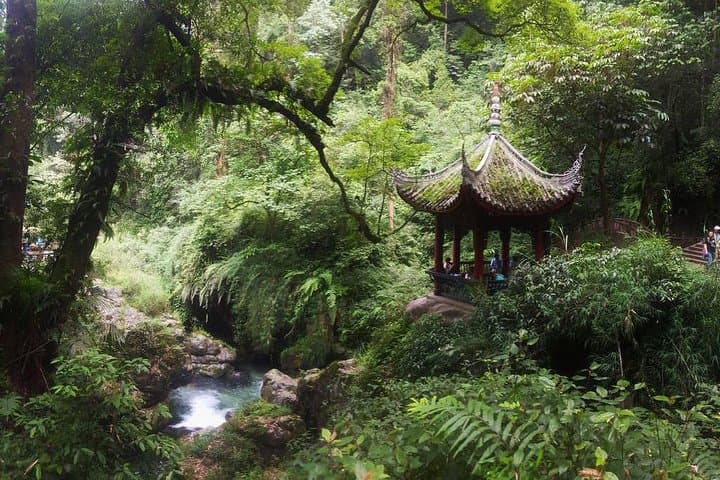 Mt Emei and Leshan Giant Buddha: 2-Day Cultural Hike from Chengdu photo 6
