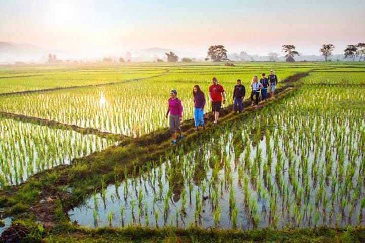 Sambangan Waterfall & Blue Lagoon Trek: Rice Fields, Water Slides and Secret Pools