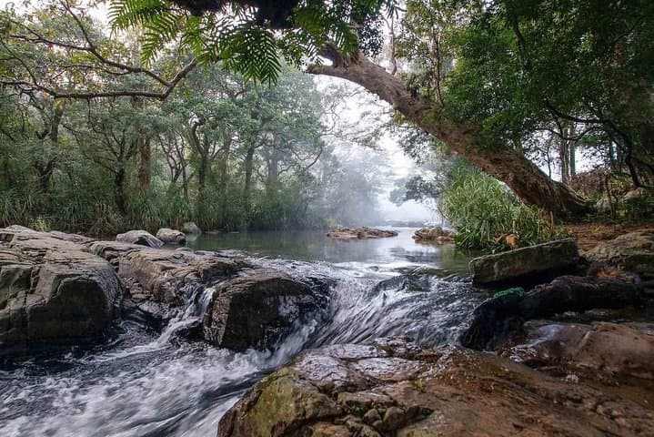 Knuckles Waterfall Trek: 10km Day Hike from Kandy photo 3