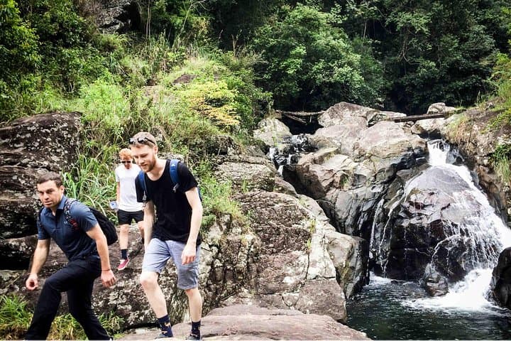 Knuckles Waterfall Trek: 10km Day Hike from Kandy photo 5