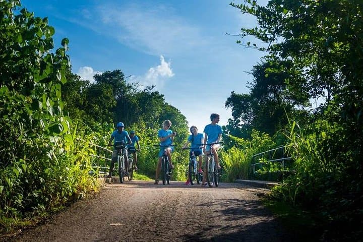 Village and Lagoon Cycling Tour in Galle — 12 km Countryside Ride & Lagoon Birdwatching photo 5