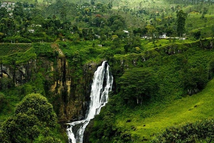5-Day Sri Lanka Central Highlands Tour: World's End, Tea Trails & Kandy photo 3