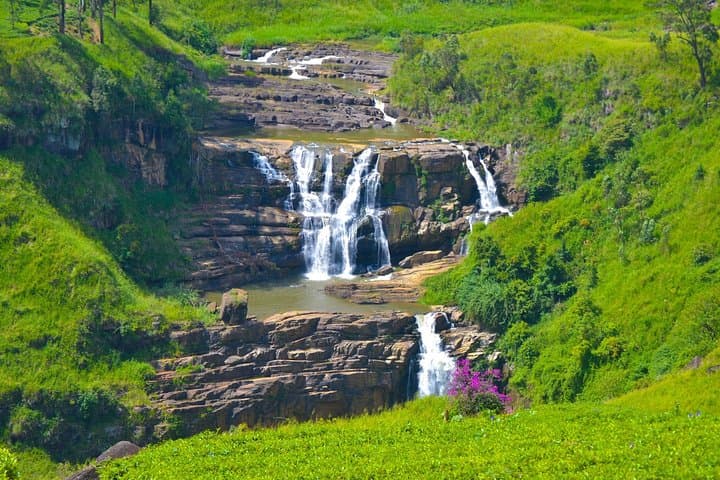5-Day Sri Lanka Central Highlands Tour: World's End, Tea Trails & Kandy photo 5