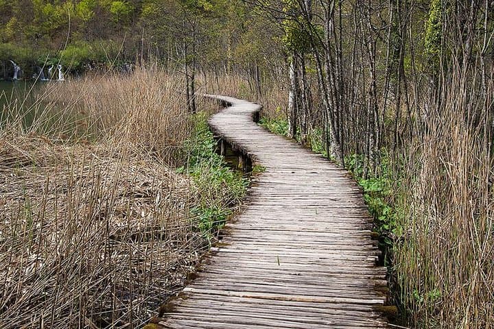 Plitvice Lakes Photo Tour from Zagreb: Capture Croatia’s Cascading Lakes photo 5