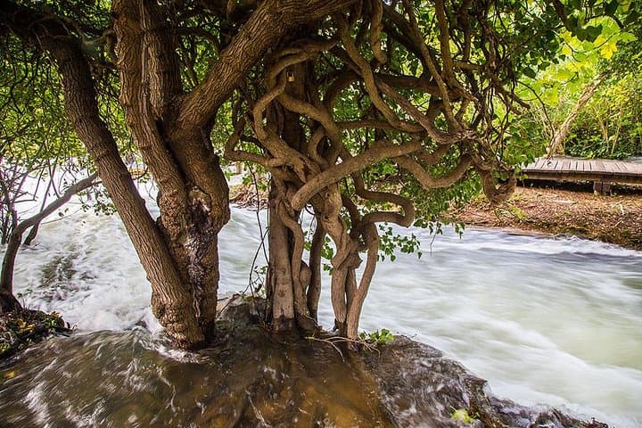 Exploring Krka River: A Private Small-Group Photo Adventure from Split photo 5