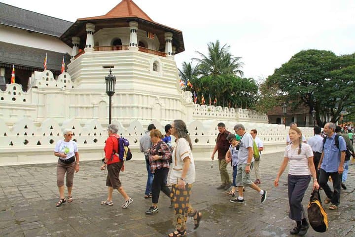 Last Kingdom Private Day Tour in Kandy — Temple, Tea & Spice Garden Day Trip photo 4