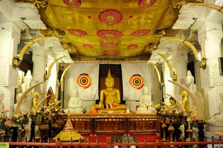 Last Kingdom Private Day Tour in Kandy — Temple, Tea & Spice Garden Day Trip photo 5