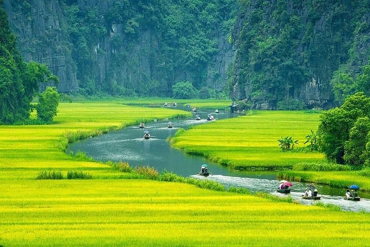 Hoa Lu, Tam Coc & Mua Cave — Luxury Day Trip from Hanoi photo 3