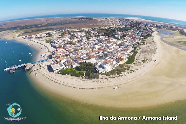 All-Day Ria Formosa Boat Tour from Fuseta — Armona, Culatra & Farol Islands photo 5