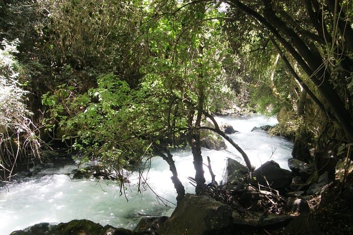Far North Israel Day Tour: Tel Dan, Banias Reserve & Banias Waterfall photo 4
