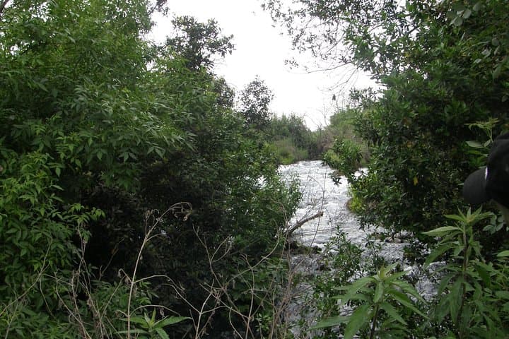 Far North Israel Day Tour: Tel Dan, Banias Reserve & Banias Waterfall photo 5