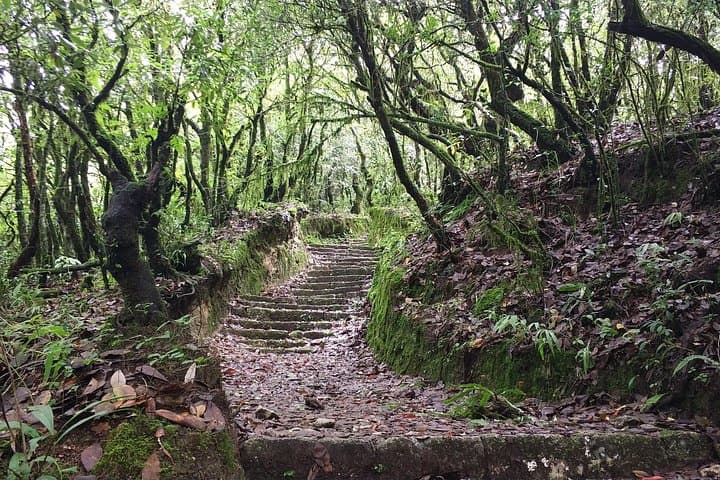 Shivapuri to Baghdwar Day Hike — Nagi Gumba, Bagmati Spring & Peak Views photo 2
