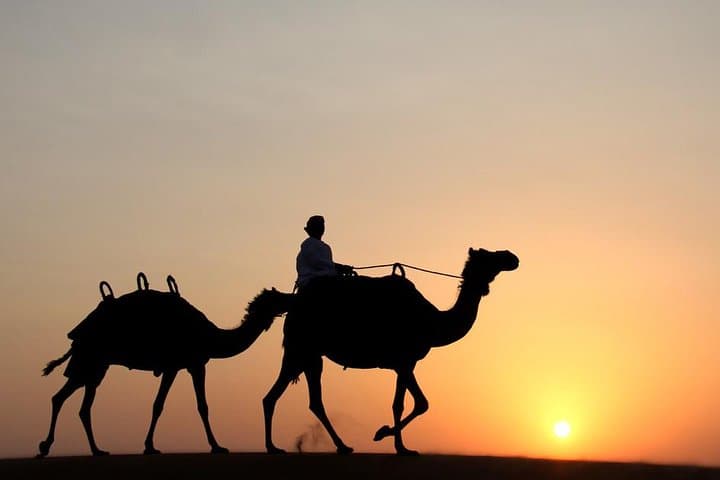 Morning Camel Trekking & Red Dunes Safari in Dubai — Sunrise Camel Ride, Dune Bashing, Sandboarding