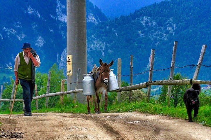 Carpathian Mountain Villages & Libearty Brown Bear Sanctuary Day Tour from Bucharest