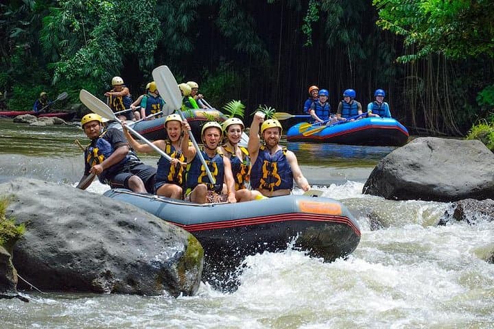 Ayung River Rafting and Jungle Swing Day Tour from Ubud photo 2
