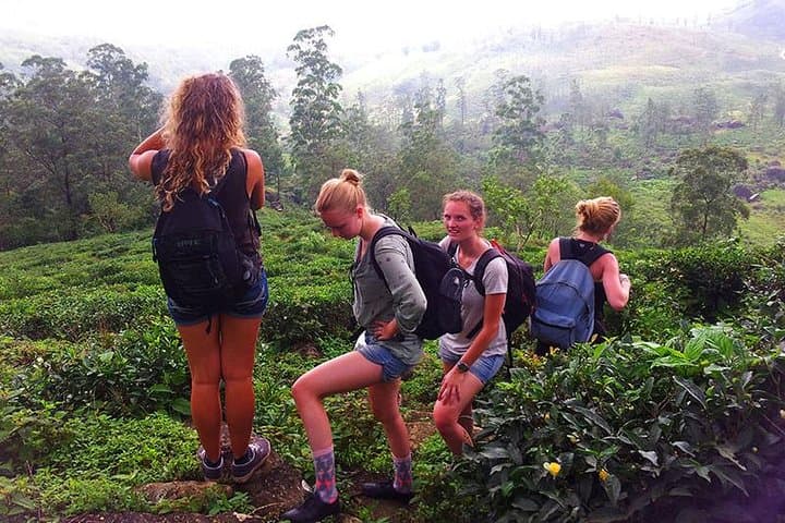 Overnight in Meemure: Camping & Waterfall Trek in Sri Lanka's Knuckles Range photo 2