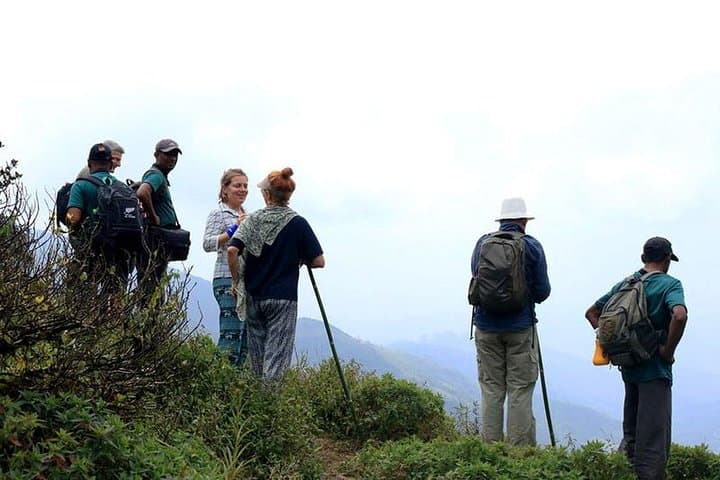 Overnight in Meemure: Camping & Waterfall Trek in Sri Lanka's Knuckles Range photo 3