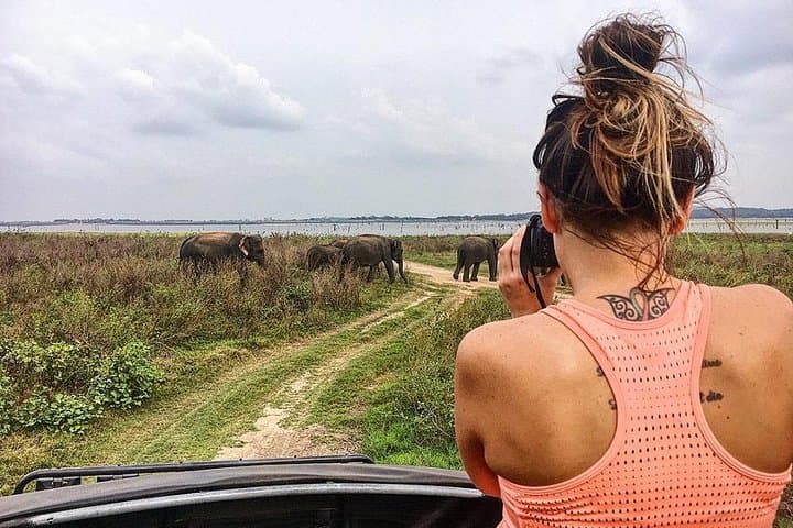 Minneriya National Park Safari from Negombo: Day Trip to See the Elephant Gathering photo 5