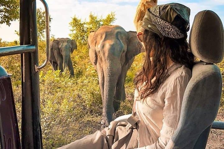 Minneriya National Park Safari from Negombo: Day Trip to See the Elephant Gathering photo 4