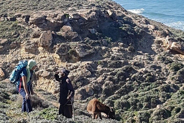 Sidi Mbark Cliffline & Cascade Hike from Essaouira photo 3