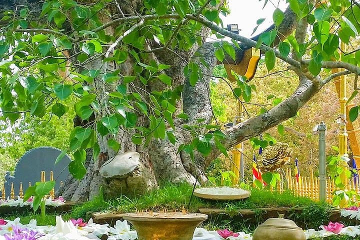 2-Day Private Anuradhapura & Wilpattu Safari from Negombo photo 3