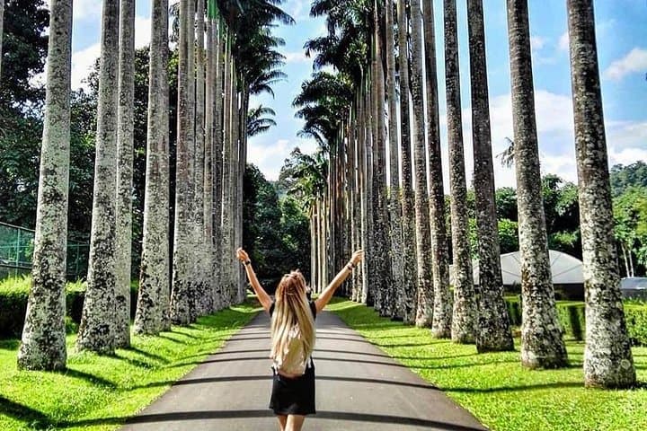 Kandy Day Tour from Bentota: Royal Botanic Gardens, Temple of the Tooth & Kandyan Dance photo 3
