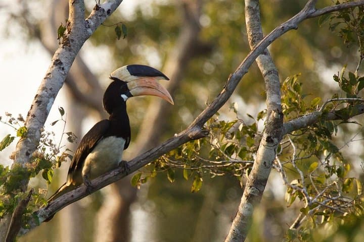 2-Day Private Anuradhapura & Wilpattu Safari from Negombo photo 5