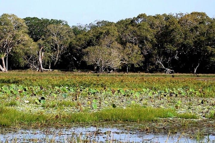 2-Day Private Anuradhapura & Wilpattu Safari from Negombo photo 6