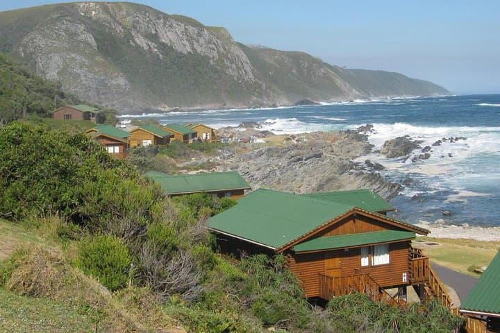 Garden Route Adrenaline: Ziplines, Monkey Sanctuaries & Bloukrans Bungy photo 5
