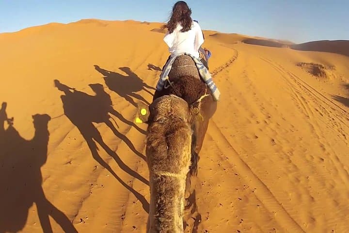 Marrakech to Fez: 3-Day Desert Tour and Camel Trek Across the High Atlas to Erg Chebbi photo 3