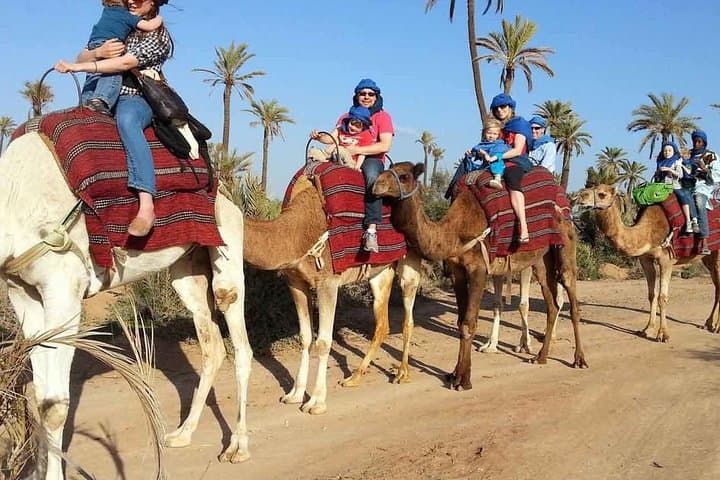 Private Camel Ride in Marrakech Palm Groves with Tea Break and Village Visit photo 2