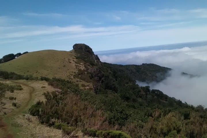 Fanal Enchanted Forest Walk: Explore Madeira’s Ancient Laurisilva photo 6