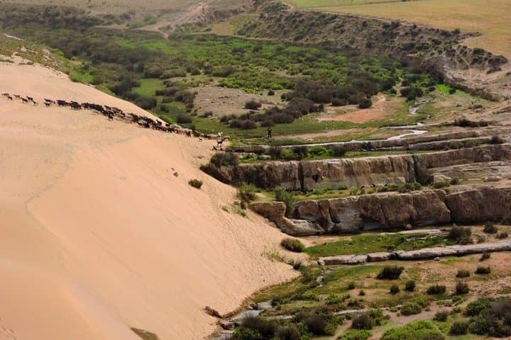 Essaouira Argan Forest to Sidi M'Barket Waterfall: 12 km Coastal Hike