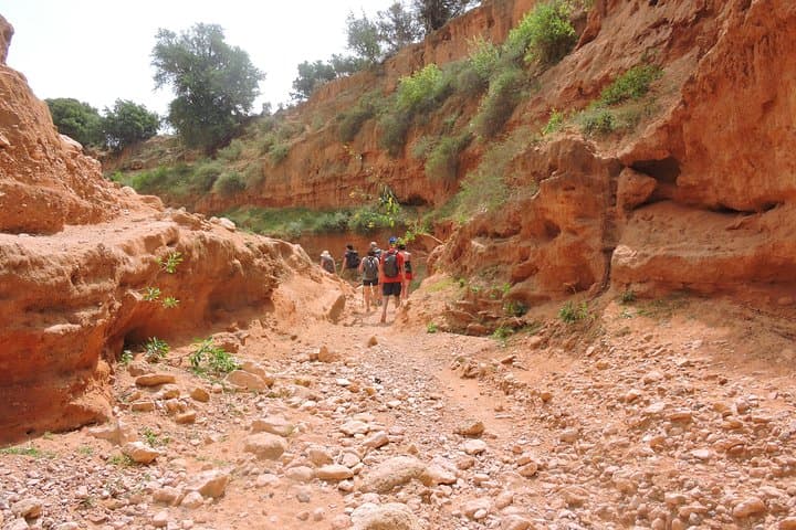 Essaouira Argan Forest to Sidi M'Barket Waterfall: 12 km Coastal Hike photo 2