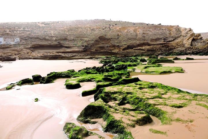 Essaouira Argan Forest to Sidi M'Barket Waterfall: 12 km Coastal Hike photo 3