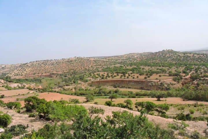 Essaouira Argan Forest to Sidi M'Barket Waterfall: 12 km Coastal Hike photo 4