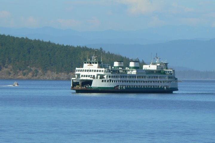 Griffin Bay Kayak Tour: Guided Wildlife Paddle on San Juan Island photo 4