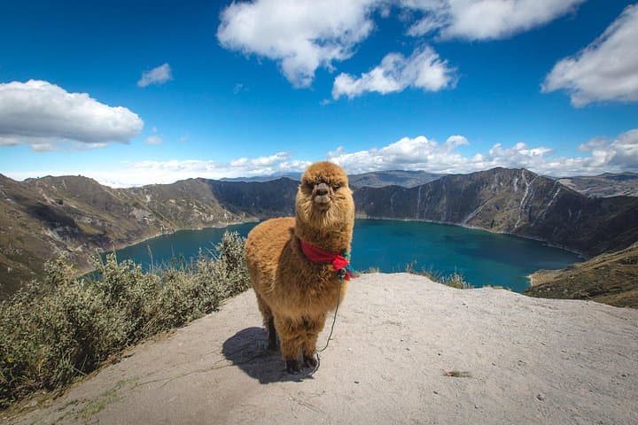 Quilotoa-Crater-Lake-and-Indigenous-Markets-Day-Trip-from-Quito photo 3