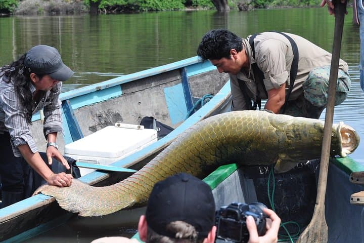 Cuyabeno 4-Day Amazon Jungle Tour: Wildlife, Community & Lake Swims photo 4