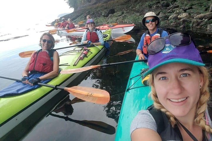 Griffin Bay Kayak Tour: Guided Wildlife Paddle on San Juan Island photo 3