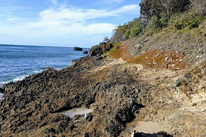East Coast Barbados Hiking Tour: Ragged Point, Conset Bay & Coastal Cliffs photo 4
