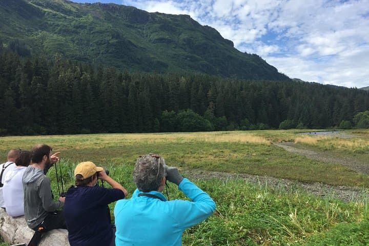 Pack Creek Brown Bear Viewing from Juneau — Admiralty Island Floatplane Safari photo 5